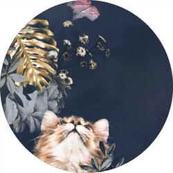 Haustier Couture 3 | CIRCLE ART