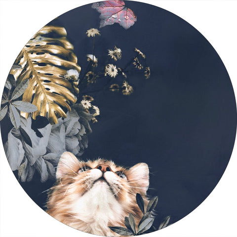 Haustier Couture 3 | CIRCLE ART