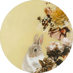 Haustier Couture 4 | CIRCLE ART