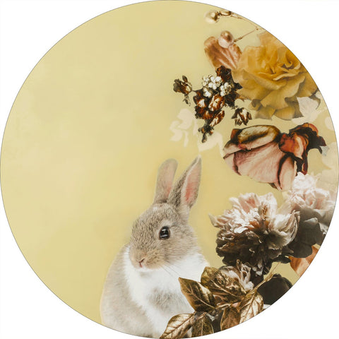Haustier Couture 4 | CIRCLE ART