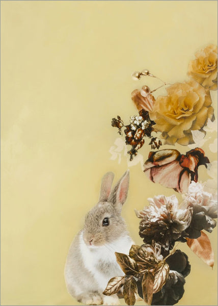 Haustier Couture 4 | POSTER