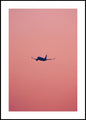 Rosa Flug | POSTERBAND