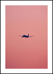 Roze vlucht | Poster
