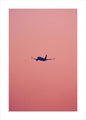 Rosa Flug | POSTER