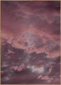 Rosa Himmel | POSTERBAND