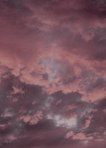 Rosa Himmel | POSTER