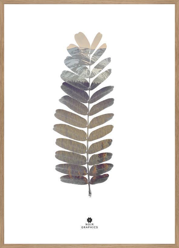 Tamarinde Leaf | POSTER