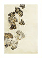 Natur pur 2 | POSTERBAND