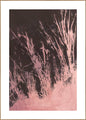 Reine Natur 3 | Plakatbrett