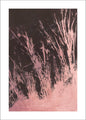 Reine Natur 3 | POSTER