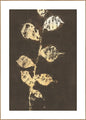 Reine Natur 4 | Plakatbrett