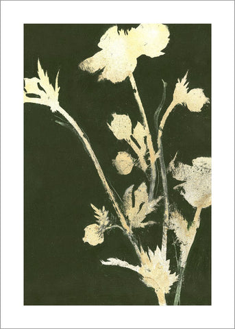 Natur pur 6 | POSTER