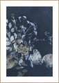 Reine Natur 7 | Plakatbrett