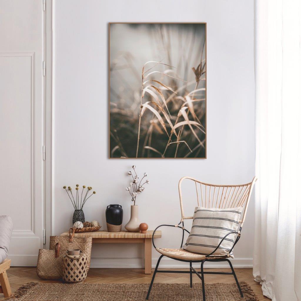 Reed 2 | Plakatbrett