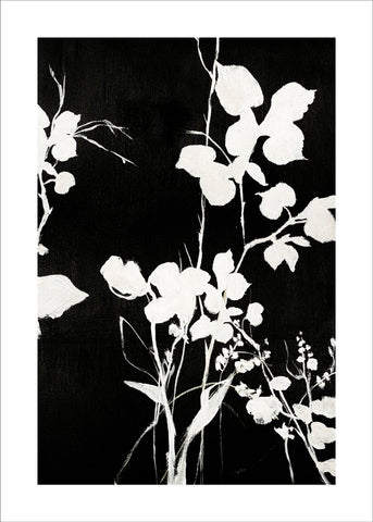Silhouette Blätter 1 | POSTER