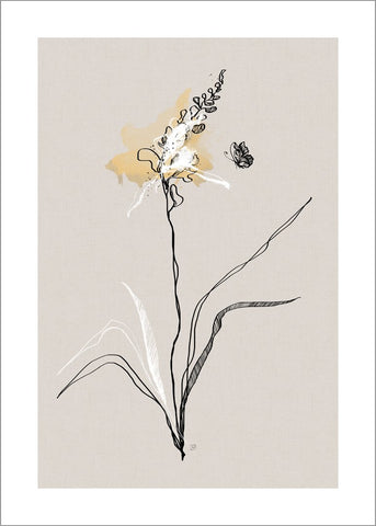 Sommerpflanze 1 | POSTER