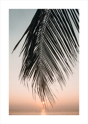 Sonnenuntergangsblätter | POSTER