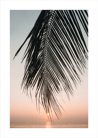 Sonnenuntergangsblätter | POSTER