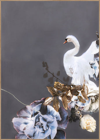 Schwan Gold 1 | POSTERBAND
