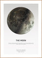 Das Mondlicht | POSTERBAND