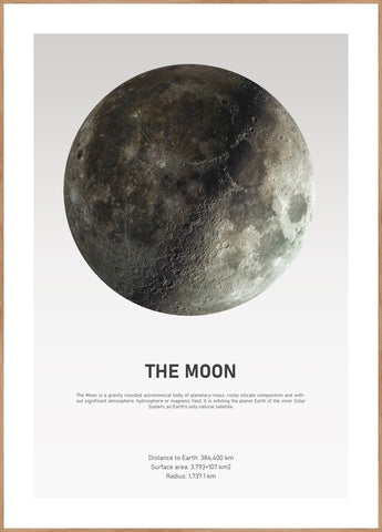 Das Mondlicht | POSTERBAND