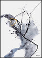 Universum 12 | POSTERBAND