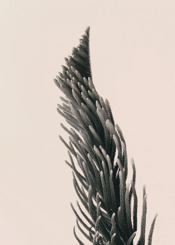 Aufwärts 1 | POSTER