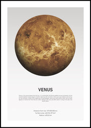Venuslicht | POSTERBAND