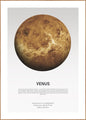 Venuslicht | POSTERBAND