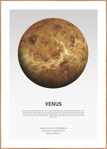Venuslicht | POSTERBAND