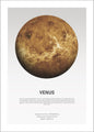 Venuslicht | POSTER