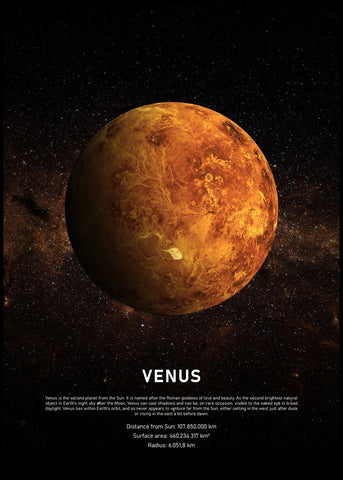 Venus | POSTERBAND