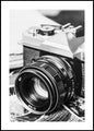 Vintage-Foto | POSTERBAND