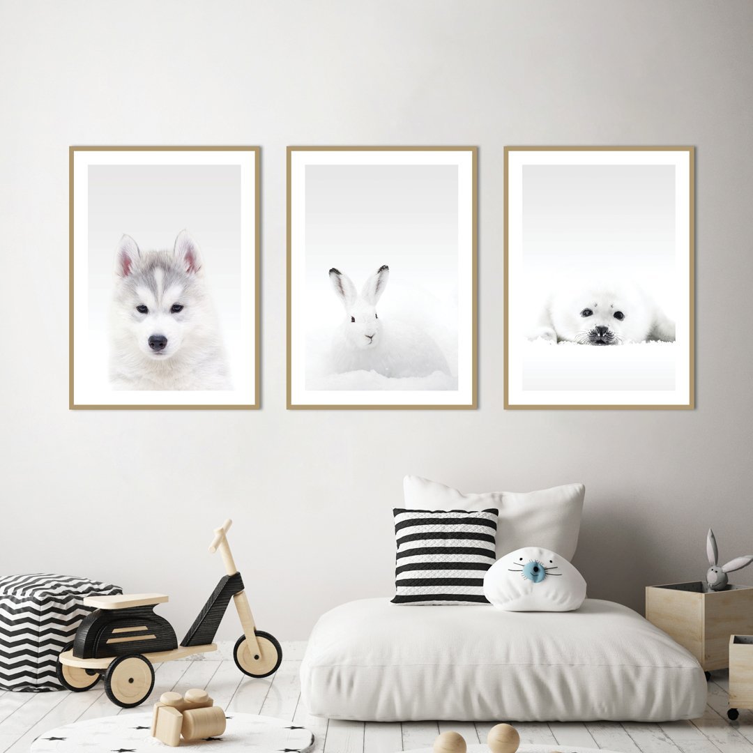 Weißes Kaninchen | POSTER