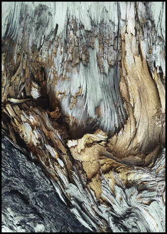 Holz | Plakatbrett