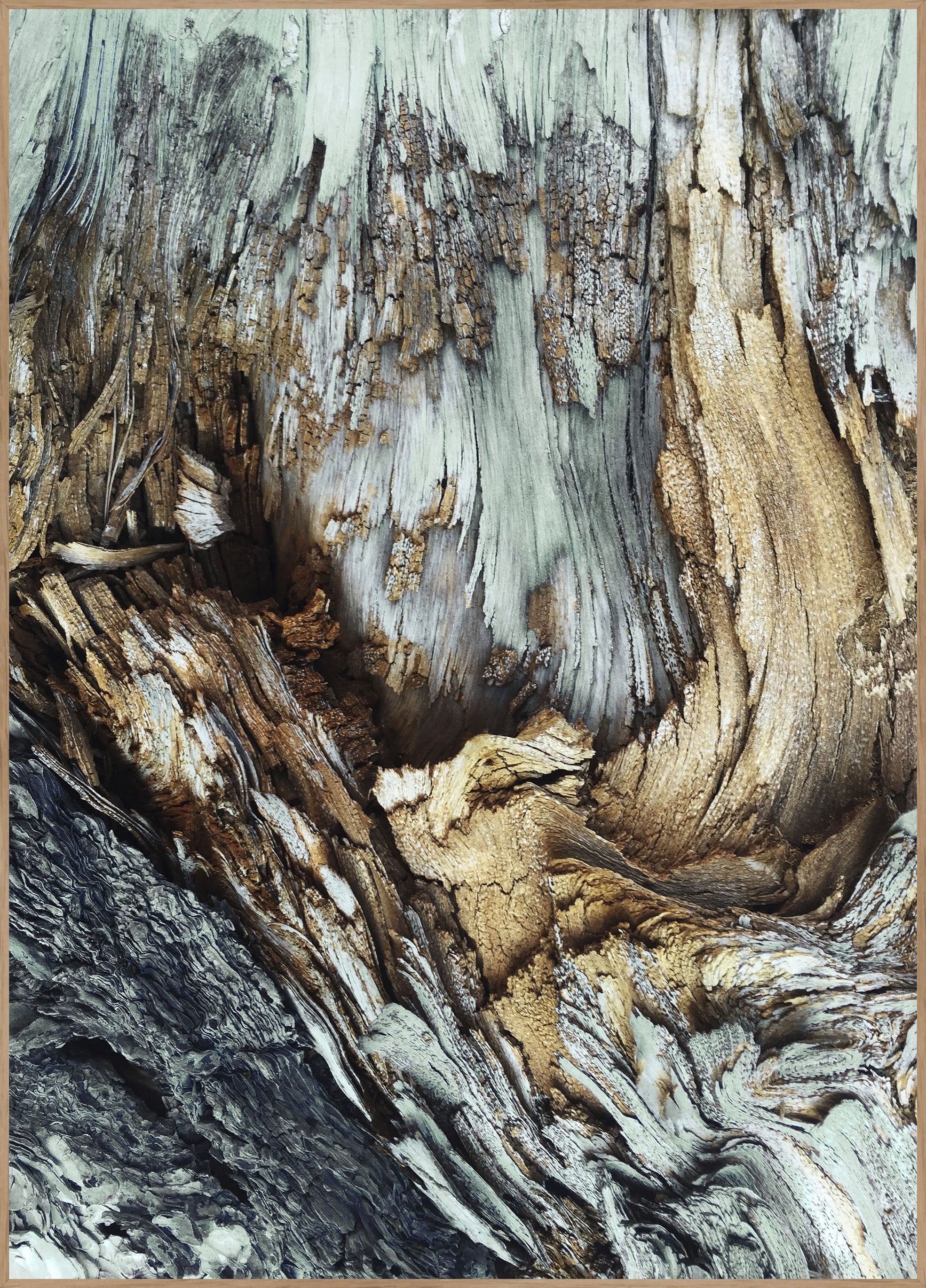 Holz | Plakatbrett