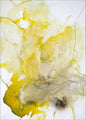 Gelbe Linie | POSTER