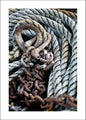 Blaues Seil | POSTER