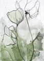 Blumenlinie 2 | POSTER