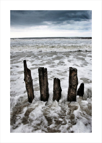 Flut | POSTER