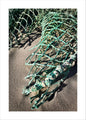 Netz in Sand | POSTER