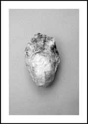 Oyster 1 | Plakatbrett