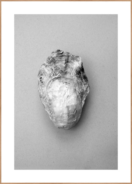 Oyster 1 | Plakatbrett