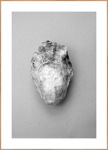 Oyster 1 | Plakatbrett
