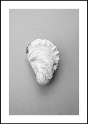 Oyster 2 | Plakatbrett
