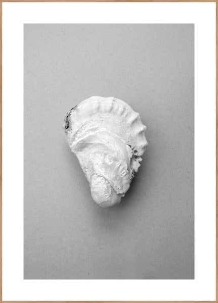 Oyster 2 | Plakatbrett