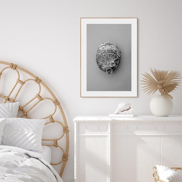 Oyster 3 | Plakatbrett