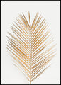 Palmblattgold | POSTERBAND
