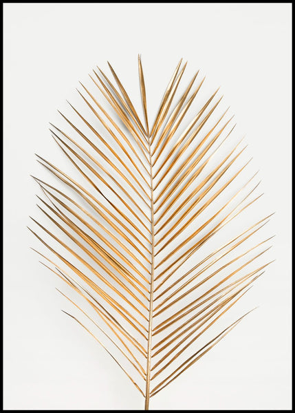 Palmblatt Gold | Plakatbrett