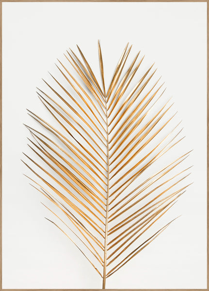 Palmblatt Gold | Plakatbrett